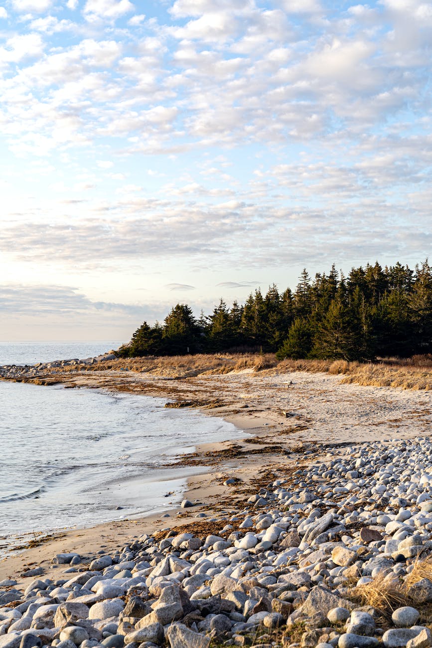 scenic view of a rocky shore